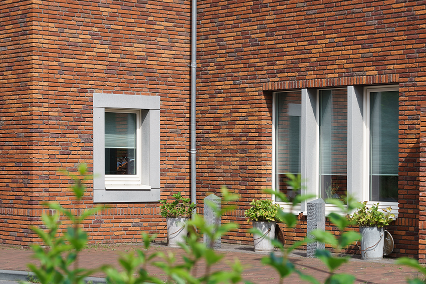 Projekt: Professor Schoemaker Plantage | Delft